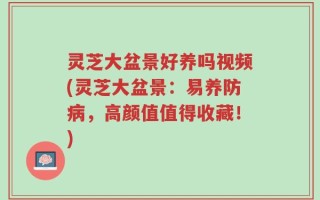灵芝大盆景好养吗视频(灵芝大盆景：易养防病，高颜值值得收藏！)