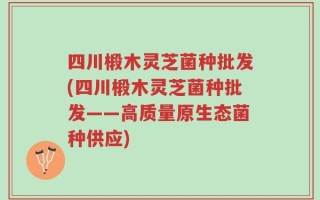 四川椴木灵芝菌种批发(四川椴木灵芝菌种批发——高质量原生态菌种供应)