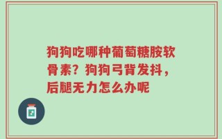 狗狗吃哪种葡萄糖胺软骨素？狗狗弓背发抖，后腿无力怎么办呢