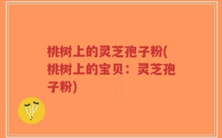 桃树上的灵芝孢子粉(桃树上的宝贝：灵芝孢子粉)