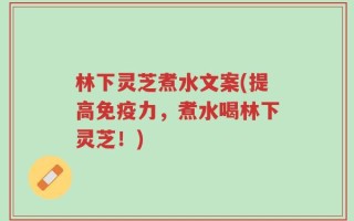 林下灵芝煮水文案(提高免疫力，煮水喝林下灵芝！)