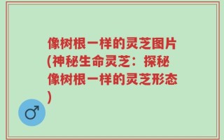 像树根一样的灵芝图片(神秘生命灵芝：探秘像树根一样的灵芝形态)