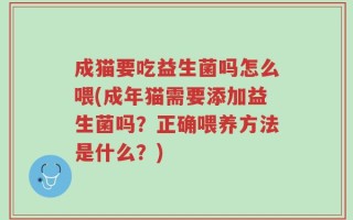 成猫要吃益生菌吗怎么喂(成年猫需要添加益生菌吗？正确喂养方法是什么？)