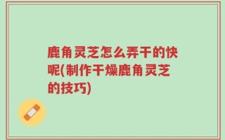 鹿角灵芝怎么弄干的快呢(制作干燥鹿角灵芝的技巧)