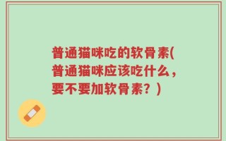 普通猫咪吃的软骨素(普通猫咪应该吃什么，要不要加软骨素？)