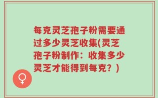 每克灵芝孢子粉需要通过多少灵芝收集(灵芝孢子粉制作：收集多少灵芝才能得到每克？)