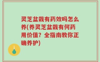 灵芝盆栽有药效吗怎么养(养灵芝盆栽有何药用价值？全指南教你正确养护)