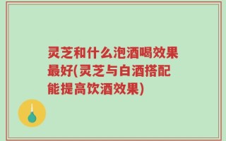 灵芝和什么泡酒喝效果最好(灵芝与白酒搭配能提高饮酒效果)
