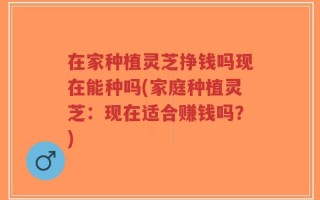 在家种植灵芝挣钱吗现在能种吗(家庭种植灵芝：现在适合赚钱吗？)