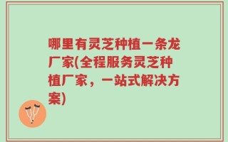 哪里有灵芝种植一条龙厂家(全程服务灵芝种植厂家，一站式解决方案)