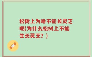松树上为啥不能长灵芝呢(为什么松树上不能生长灵芝？)