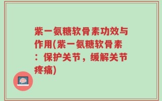 紫一氨糖软骨素功效与作用(紫一氨糖软骨素：保护关节，缓解关节疼痛)
