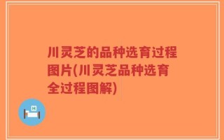 川灵芝的品种选育过程图片(川灵芝品种选育全过程图解)
