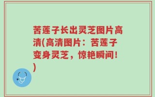 苦莲子长出灵芝图片高清(高清图片：苦莲子变身灵芝，惊艳瞬间！)