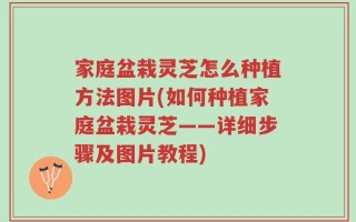 家庭盆栽灵芝怎么种植方法图片(如何种植家庭盆栽灵芝——详细步骤及图片教程)