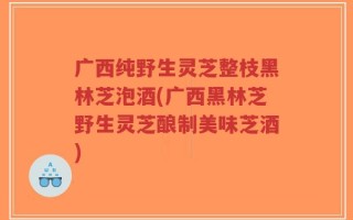 广西纯野生灵芝整枝黑林芝泡酒(广西黑林芝野生灵芝酿制美味芝酒)