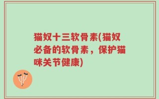 猫奴十三软骨素(猫奴必备的软骨素，保护猫咪关节健康)