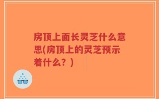 房顶上面长灵芝什么意思(房顶上的灵芝预示着什么？)