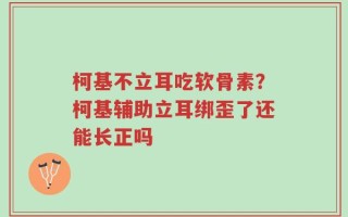 柯基不立耳吃软骨素？柯基辅助立耳绑歪了还能长正吗