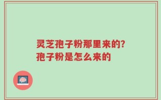 灵芝孢子粉那里来的？孢子粉是怎么来的