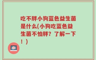 吃不胖小狗蓝色益生菌是什么(小狗吃蓝色益生菌不怕胖？了解一下！)