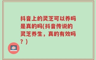抖音上的灵芝可以养吗是真的吗(抖音传说的灵芝养生，真的有效吗？)