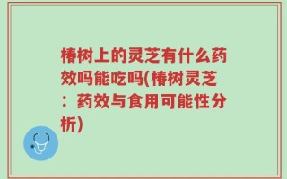 椿树上的灵芝有什么药效吗能吃吗(椿树灵芝：药效与食用可能性分析)