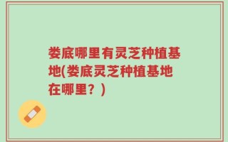 娄底哪里有灵芝种植基地(娄底灵芝种植基地在哪里？)