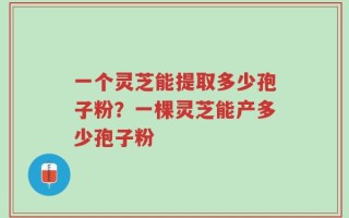 一个灵芝能提取多少孢子粉？一棵灵芝能产多少孢子粉