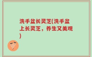 洗手盆长灵芝(洗手盆上长灵芝，养生又美观)