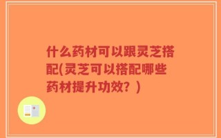 什么药材可以跟灵芝搭配(灵芝可以搭配哪些药材提升功效？)