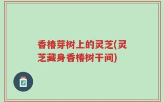 香椿芽树上的灵芝(灵芝藏身香椿树干间)