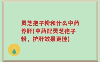 灵芝孢子粉和什么中药养肝(中药配灵芝孢子粉，护肝效果更佳)