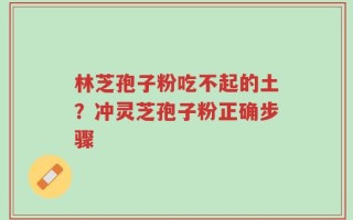 林芝孢子粉吃不起的土？冲灵芝孢子粉正确步骤