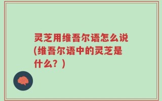 灵芝用维吾尔语怎么说(维吾尔语中的灵芝是什么？)