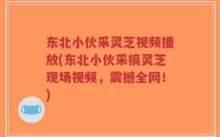 东北小伙采灵芝视频播放(东北小伙采摘灵芝现场视频，震撼全网！)
