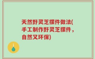 天然野灵芝摆件做法(手工制作野灵芝摆件，自然又环保)