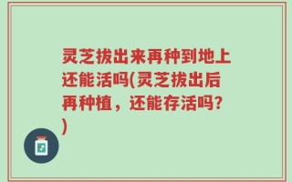 灵芝拔出来再种到地上还能活吗(灵芝拔出后再种植，还能存活吗？)