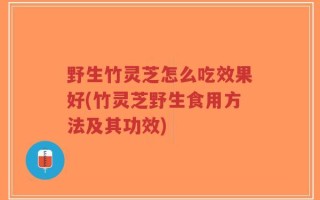 野生竹灵芝怎么吃效果好(竹灵芝野生食用方法及其功效)