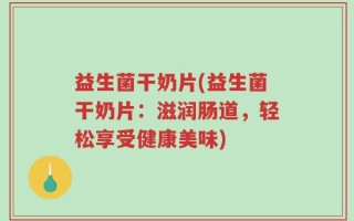 益生菌干奶片(益生菌干奶片：滋润肠道，轻松享受健康美味)