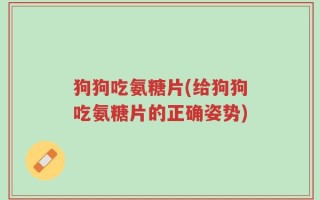 狗狗吃氨糖片(给狗狗吃氨糖片的正确姿势)