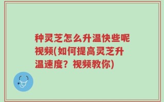 种灵芝怎么升温快些呢视频(如何提高灵芝升温速度？视频教你)
