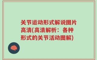 关节运动形式解说图片高清(高清解析：各种形式的关节活动图解)