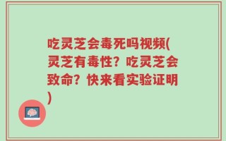 吃灵芝会毒死吗视频(灵芝有毒性？吃灵芝会致命？快来看实验证明)