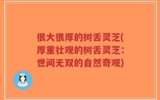 很大很厚的树舌灵芝(厚重壮观的树舌灵芝：世间无双的自然奇观)
