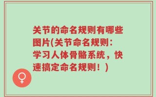 关节的命名规则有哪些图片(关节命名规则：学习人体骨骼系统，快速搞定命名规则！)