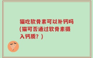 猫吃软骨素可以补钙吗(猫可否通过软骨素摄入钙质？)