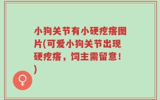 小狗关节有小硬疙瘩图片(可爱小狗关节出现硬疙瘩，饲主需留意！)