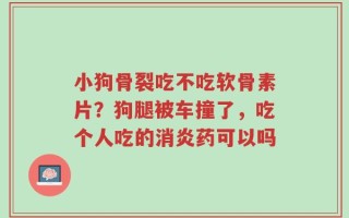 小狗骨裂吃不吃软骨素片？狗腿被车撞了，吃个人吃的消炎药可以吗