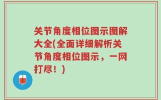 关节角度相位图示图解大全(全面详细解析关节角度相位图示，一网打尽！)